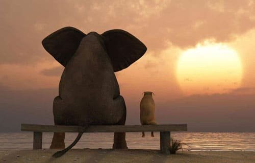 VIB Technologies about page thumbnail